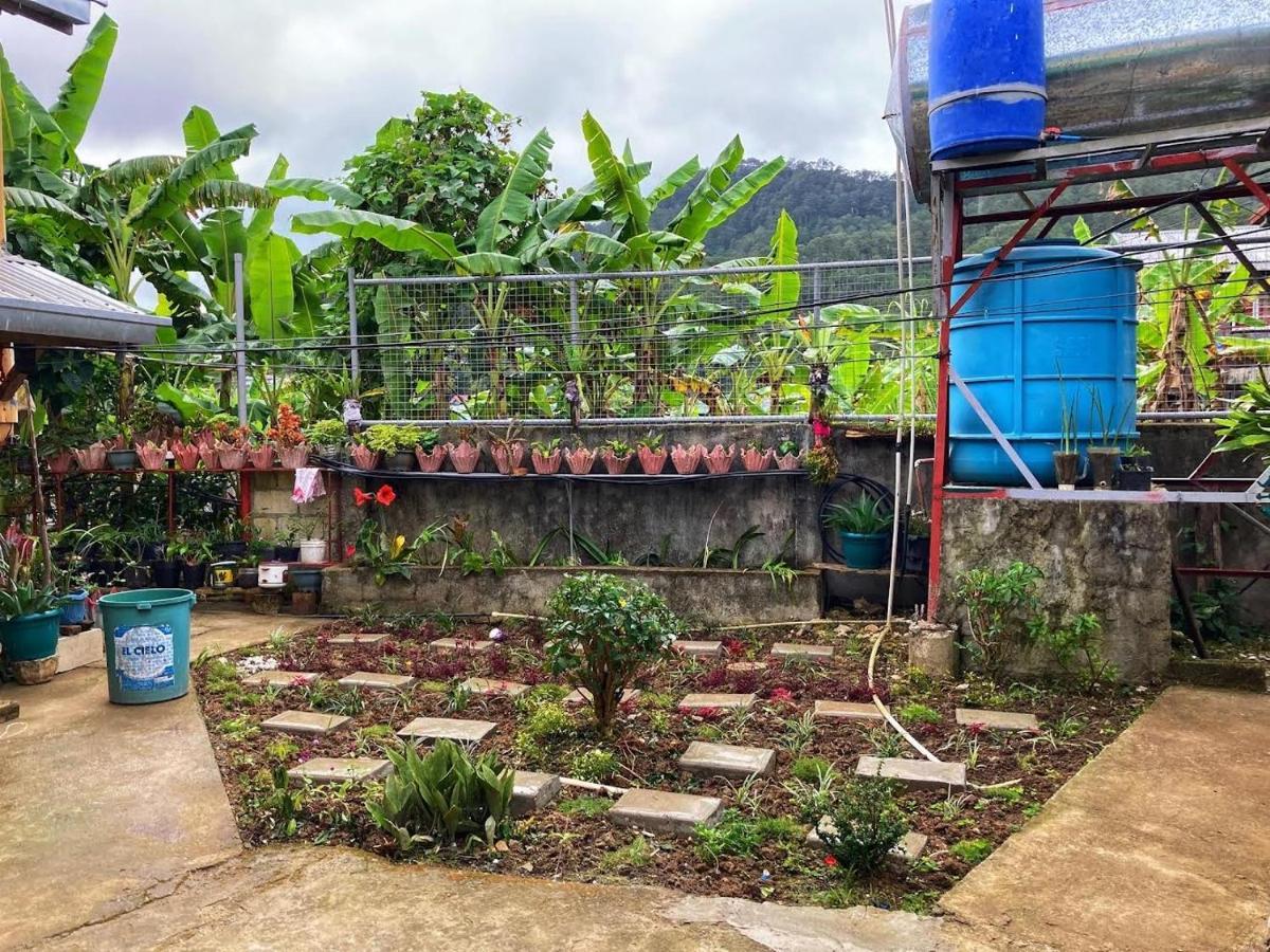 Dagdag Village Homestay - Sagada Exterior photo